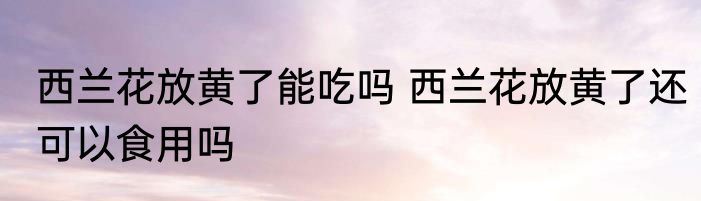 西兰花放黄了能吃吗 西兰花放黄了还可以食用吗