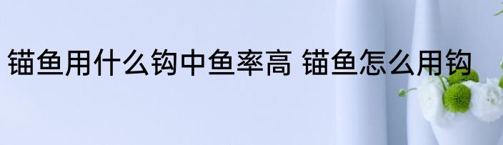 锚鱼用什么钩中鱼率高 锚鱼怎么用钩