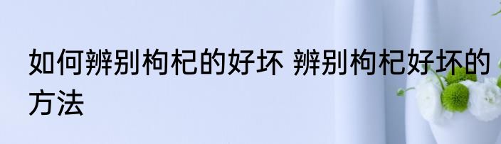 如何辨别枸杞的好坏 辨别枸杞好坏的方法