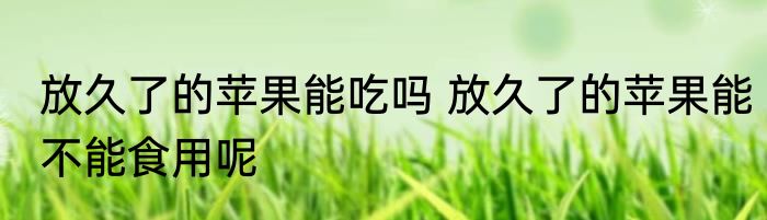 放久了的苹果能吃吗 放久了的苹果能不能食用呢