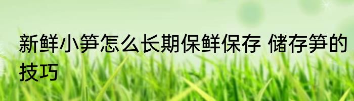 新鲜小笋怎么长期保鲜保存 储存笋的技巧