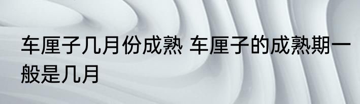 车厘子几月份成熟 车厘子的成熟期一般是几月