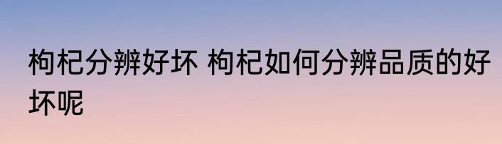枸杞分辨好坏 枸杞如何分辨品质的好坏呢