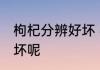 枸杞分辨好坏 枸杞如何分辨品质的好坏呢