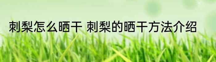 刺梨怎么晒干 刺梨的晒干方法介绍
