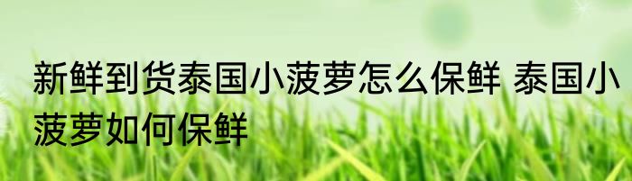 新鲜到货泰国小菠萝怎么保鲜 泰国小菠萝如何保鲜