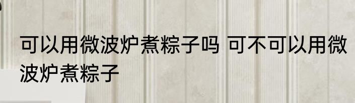 可以用微波炉煮粽子吗 可不可以用微波炉煮粽子