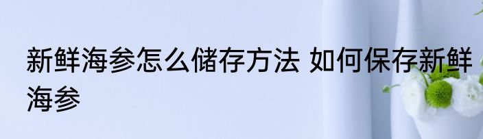 新鲜海参怎么储存方法 如何保存新鲜海参