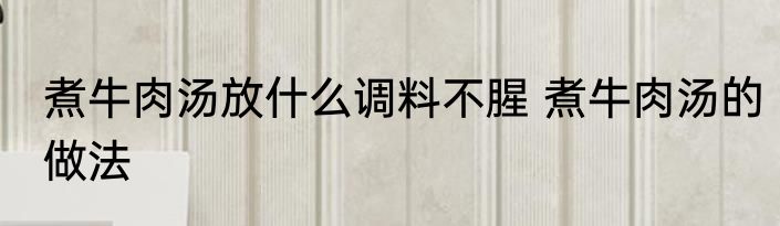 煮牛肉汤放什么调料不腥 煮牛肉汤的做法