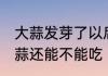 大蒜发芽了以后还可以吃吗 发了芽大蒜还能不能吃