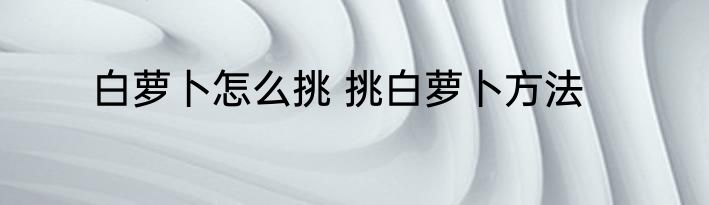 白萝卜怎么挑 挑白萝卜方法