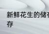 新鲜花生的储存方法 新鲜花生怎么保存