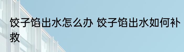 饺子馅出水怎么办 饺子馅出水如何补救