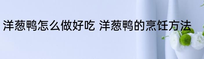 洋葱鸭怎么做好吃 洋葱鸭的烹饪方法