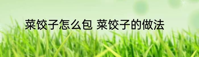 菜饺子怎么包 菜饺子的做法