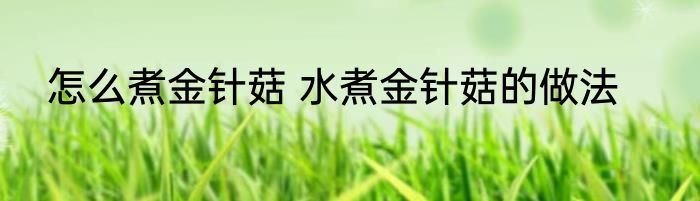 怎么煮金针菇 水煮金针菇的做法