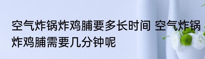 空气炸锅炸鸡脯要多长时间 空气炸锅炸鸡脯需要几分钟呢