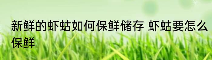 新鲜的虾蛄如何保鲜储存 虾蛄要怎么保鲜