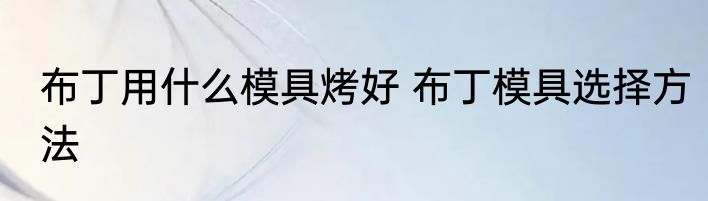 布丁用什么模具烤好 布丁模具选择方法