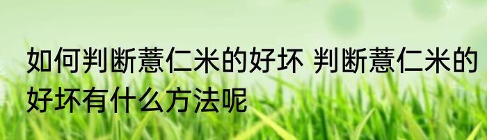 如何判断薏仁米的好坏 判断薏仁米的好坏有什么方法呢