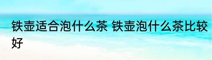 铁壶适合泡什么茶 铁壶泡什么茶比较好