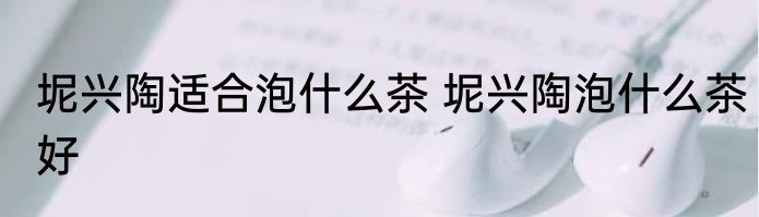 坭兴陶适合泡什么茶 坭兴陶泡什么茶好