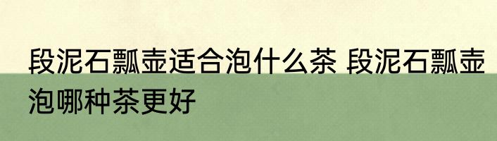 段泥石瓢壶适合泡什么茶 段泥石瓢壶泡哪种茶更好