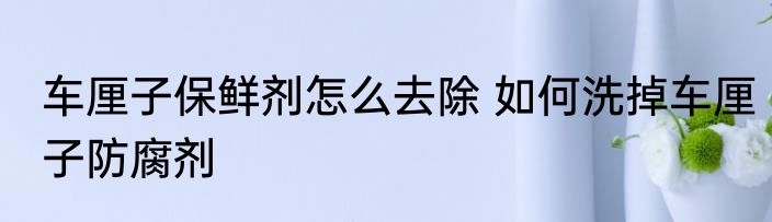 车厘子保鲜剂怎么去除 如何洗掉车厘子防腐剂