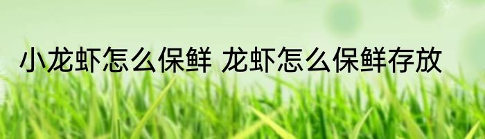 小龙虾怎么保鲜 龙虾怎么保鲜存放