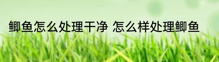 鲫鱼怎么处理干净 怎么样处理鲫鱼