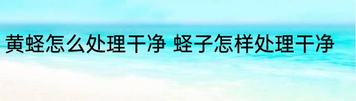 黄蛏怎么处理干净 蛏子怎样处理干净