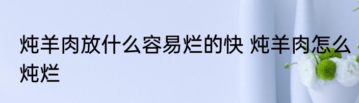 炖羊肉放什么容易烂的快 炖羊肉怎么炖烂