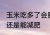 玉米吃多了会胖吗 吃玉米到底会长胖还是能减肥