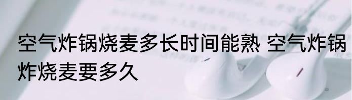空气炸锅烧麦多长时间能熟 空气炸锅炸烧麦要多久