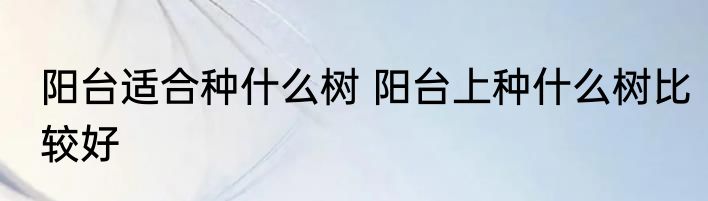 阳台适合种什么树 阳台上种什么树比较好