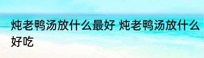 炖老鸭汤放什么最好 炖老鸭汤放什么好吃
