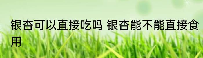 银杏可以直接吃吗 银杏能不能直接食用
