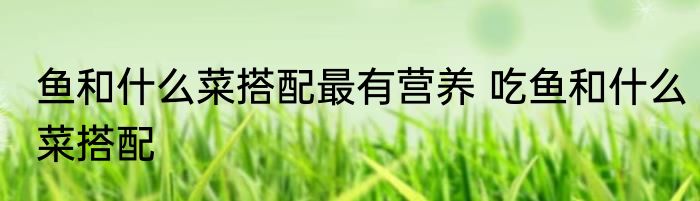 鱼和什么菜搭配最有营养 吃鱼和什么菜搭配