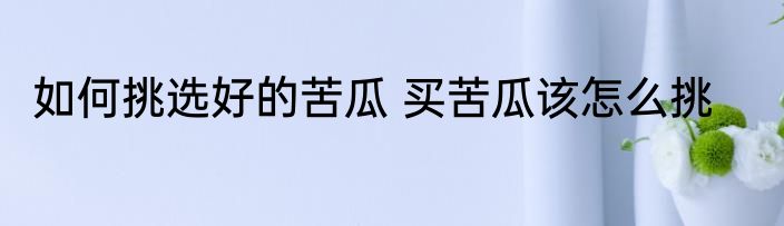 如何挑选好的苦瓜 买苦瓜该怎么挑