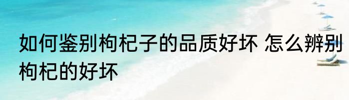 如何鉴别枸杞子的品质好坏 怎么辨别枸杞的好坏