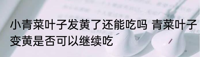 小青菜叶子发黄了还能吃吗 青菜叶子变黄是否可以继续吃