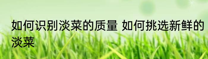 如何识别淡菜的质量 如何挑选新鲜的淡菜