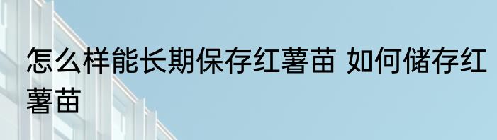 怎么样能长期保存红薯苗 如何储存红薯苗