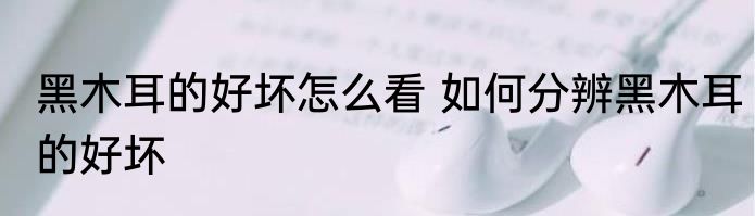 黑木耳的好坏怎么看 如何分辨黑木耳的好坏