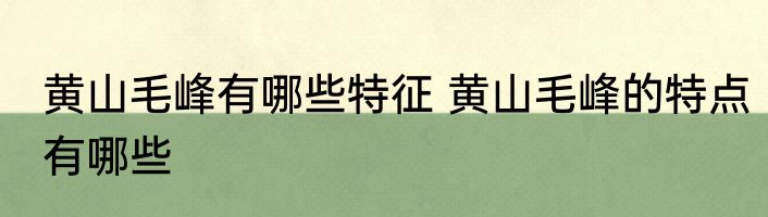 黄山毛峰有哪些特征 黄山毛峰的特点有哪些