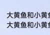 大黄鱼和小黄鱼有什么区别 如何区分大黄鱼和小黄鱼