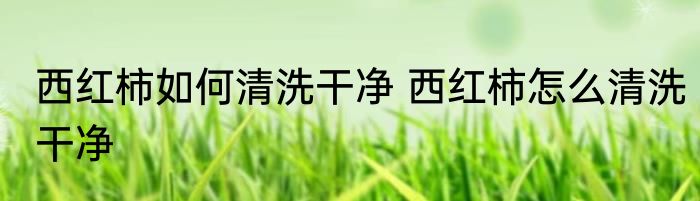 西红柿如何清洗干净 西红柿怎么清洗干净