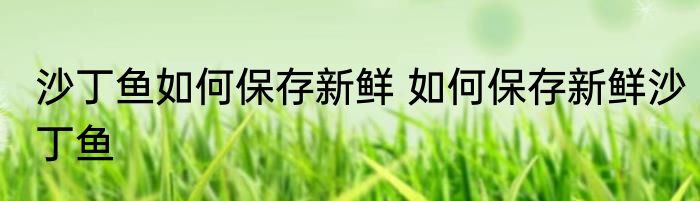 沙丁鱼如何保存新鲜 如何保存新鲜沙丁鱼
