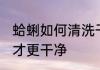 蛤蜊如何清洗干净 蛤蜊怎样处理清洗才更干净