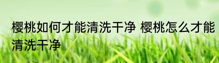 樱桃如何才能清洗干净 樱桃怎么才能清洗干净